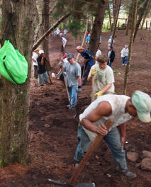Srs. of St. Francis mission team dig through trees